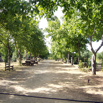 Εικόνα 15 of 16